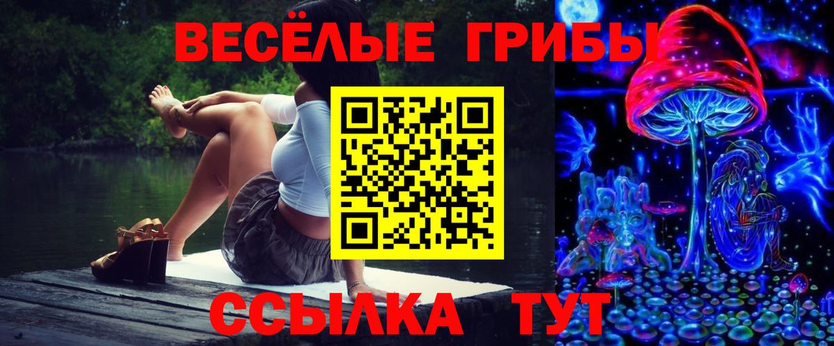 Галлюциногенные грибы Psilocybine cubensis Кореновск